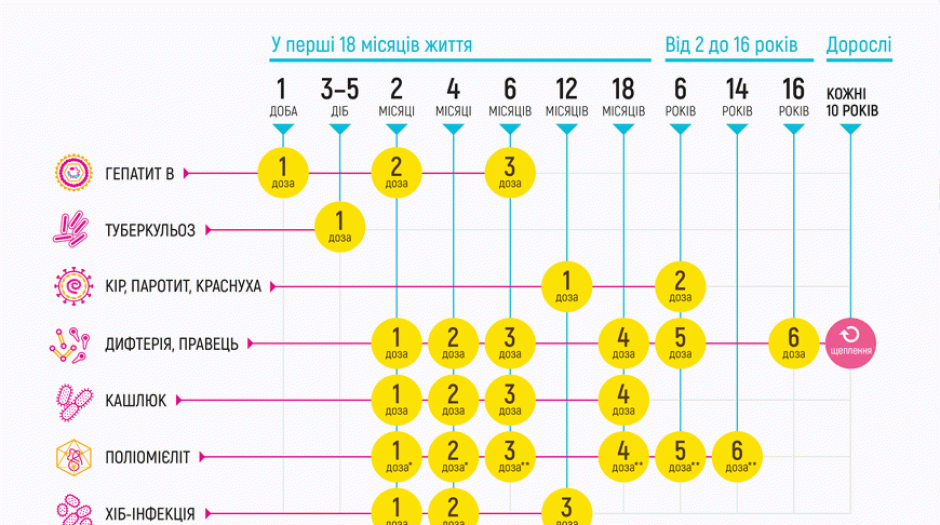 Идеальный календарь вакцинации. 