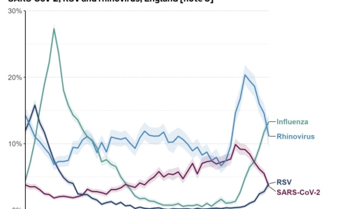 Грип (грудень 2025)
